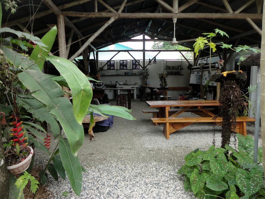 Cabinas Tropicales Puerto Jiménez Extérieur photo