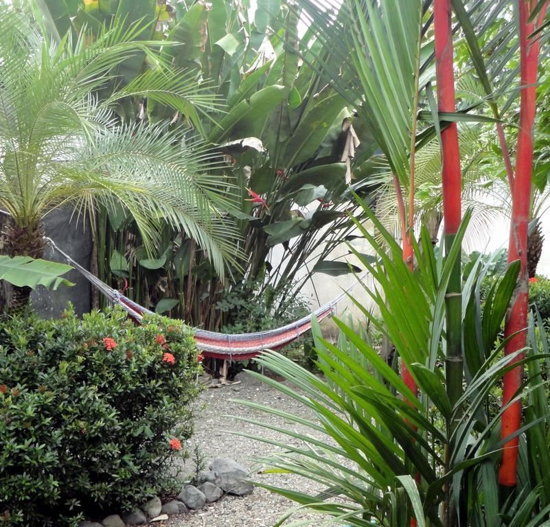 Cabinas Tropicales Puerto Jiménez Extérieur photo