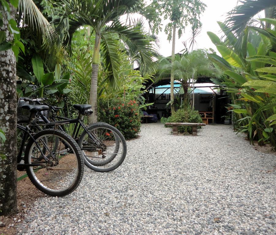 Cabinas Tropicales Puerto Jiménez Extérieur photo