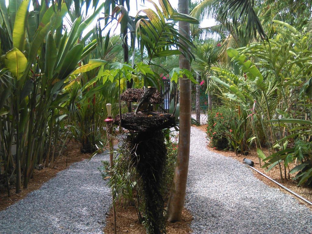 Cabinas Tropicales Puerto Jiménez Chambre photo