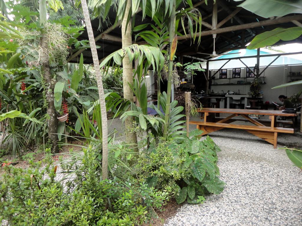 Cabinas Tropicales Puerto Jiménez Chambre photo