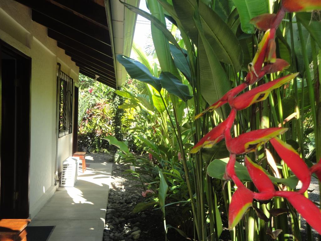 Cabinas Tropicales Puerto Jiménez Chambre photo