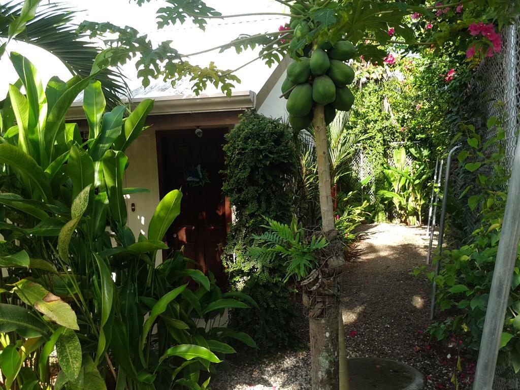 Cabinas Tropicales Puerto Jiménez Extérieur photo