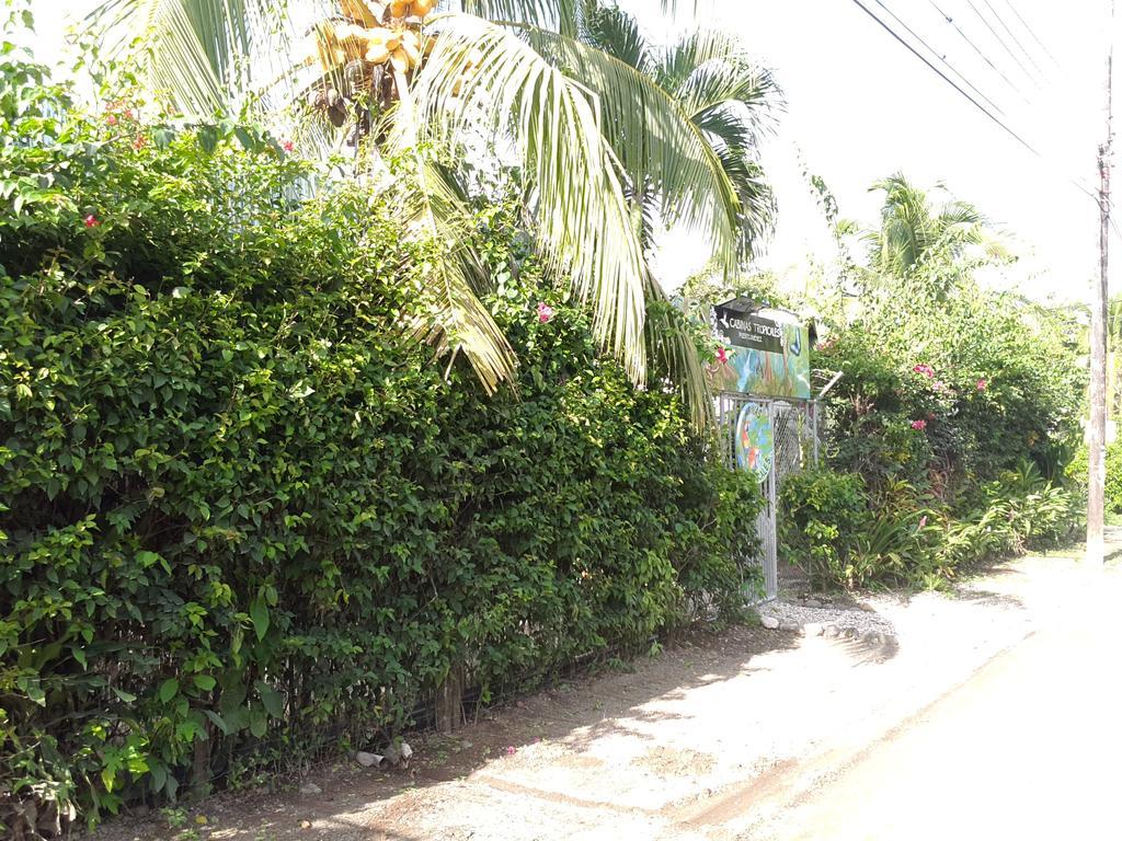Cabinas Tropicales Puerto Jiménez Extérieur photo
